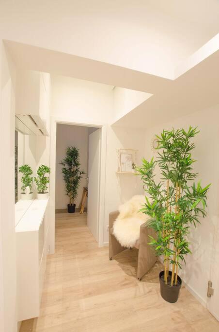 Casarina - Gemuetliches Apartment Im Zentrum Augsburg Exteriér fotografie